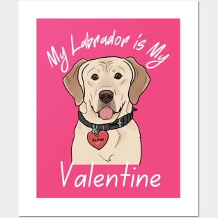 My Labrador is My Valentine Posters and Art